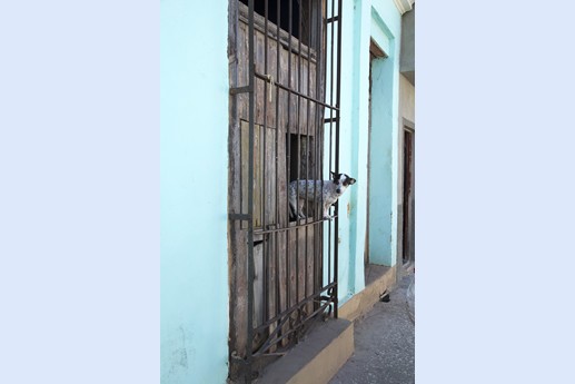 Cuba 2014